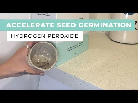 Accelerate Seed Germination Using Hydrogen Peroxide - Oxygen Plus