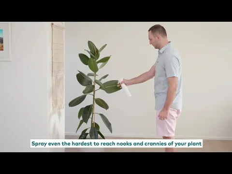 Plant Mister  - Mister 360 Reusable Spray Bottle