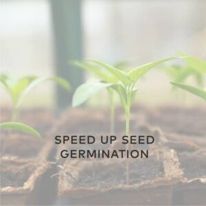 Speed Up Seed Germination