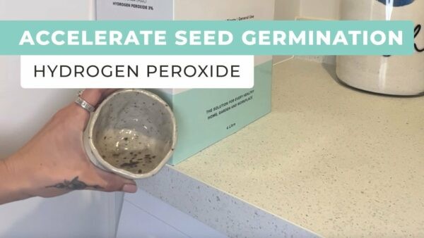 Accelerate Seed Germination Using Hydrogen Peroxide - Oxygen Plus