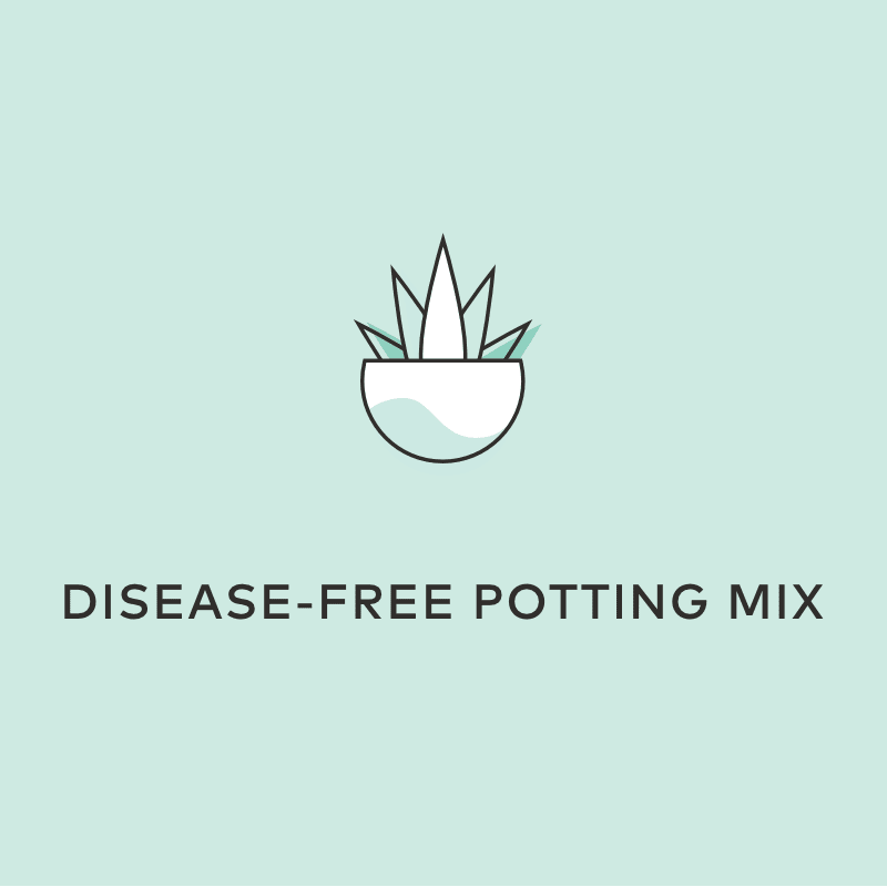 disease free potting mix oxygen plus for plants
