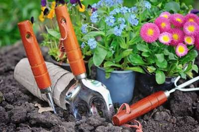 Disinfect Gardening Tools Using Hydrogen Peroxide