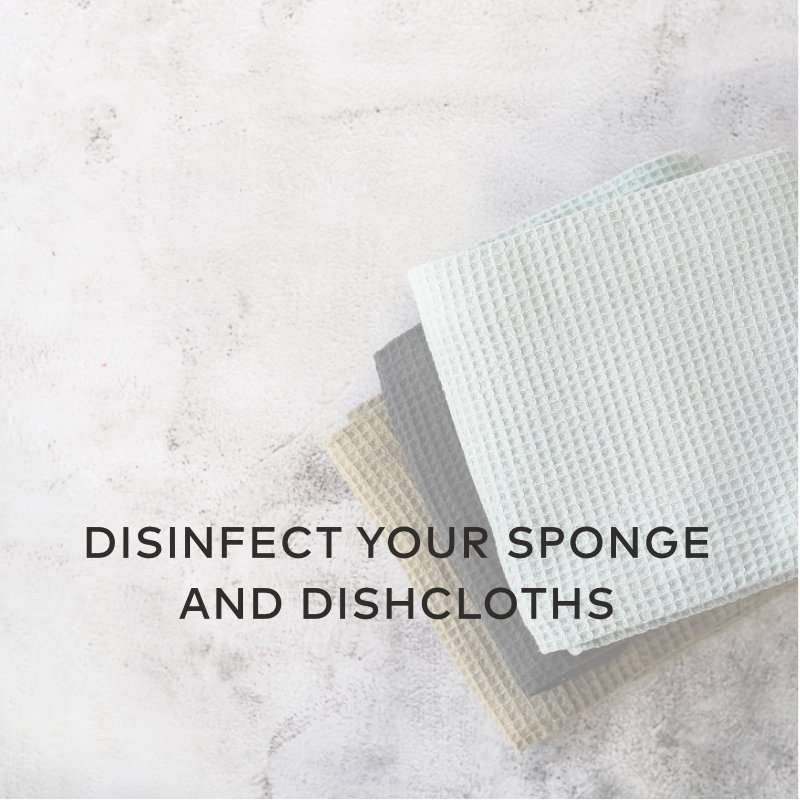 disinfect sponge dishcloths