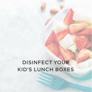 hydroghen peroxide disinfect kids lunch boxes