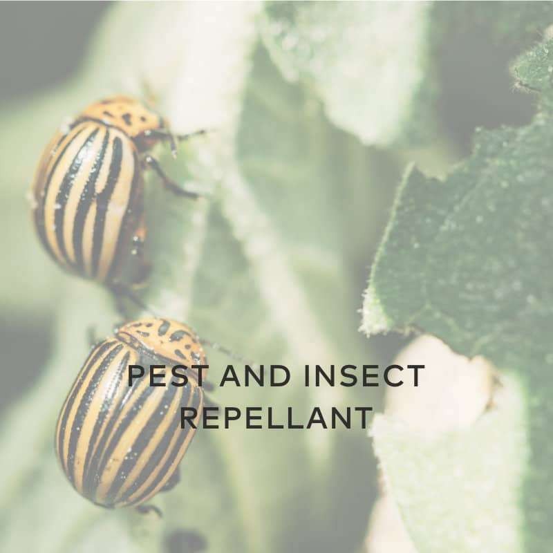repellant pests insects hydropgen peroxide