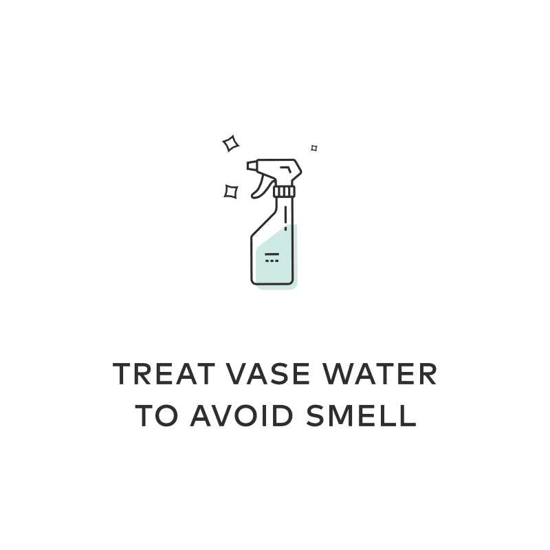 treat vase water
