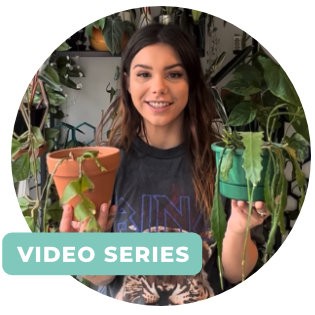 Watch Plant Care Video Series
